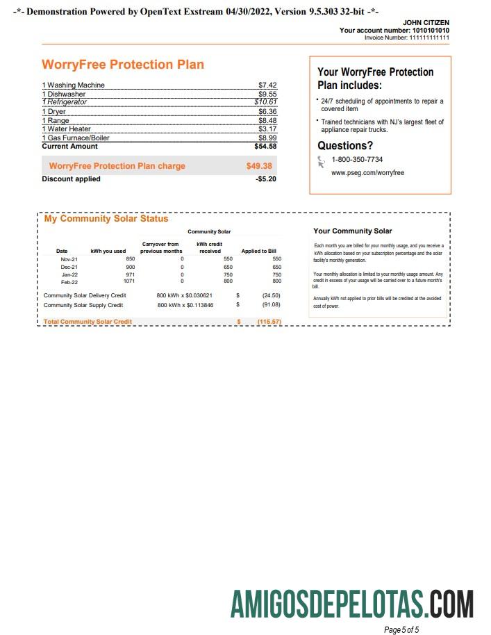 em branco Conta de serviços públicos PSEG dos EUA, Nova York, modelo Word e PDF, 5 páginas 5